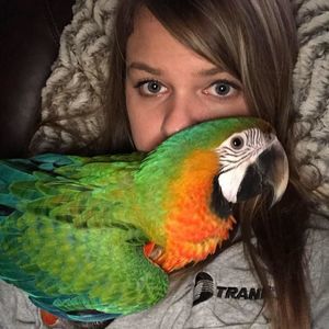 Meet your Posher, Abbie